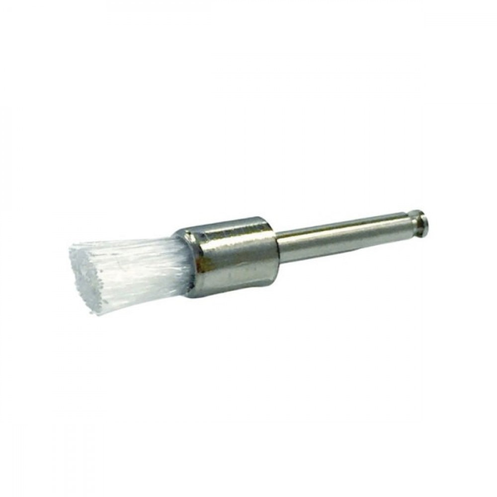 Prophy Brush
